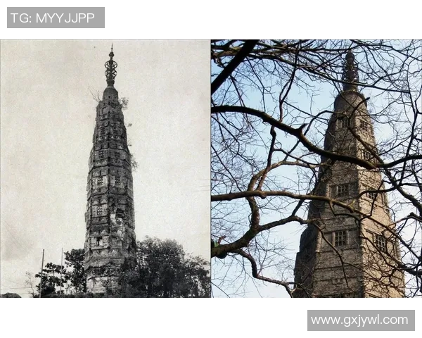 杭州与广州的城市魅力对比探讨文化经济与生活方式的不同之处